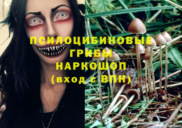 Альфа ПВП Баксан