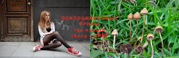 гашишное масло Беломорск