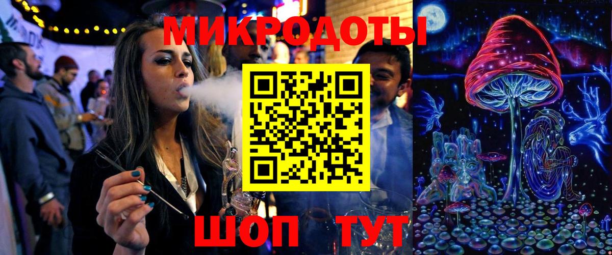 Псилоцибиновые грибы Psilocybe Свободный