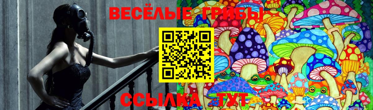 Галлюциногенные грибы Psilocybe  Псилоцибиновые грибы GOLDEN TEACHER  Свободный  Вход с VPN 