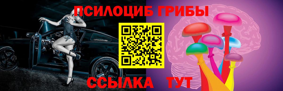 ГАШ Свободный